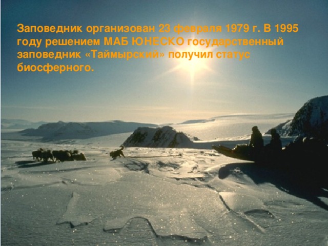 Заповедник организован 23 февраля 1979 г. В 1995 году решением МАБ ЮНЕСКО государственный заповедник «Таймырский» получил статус биосферного.   
