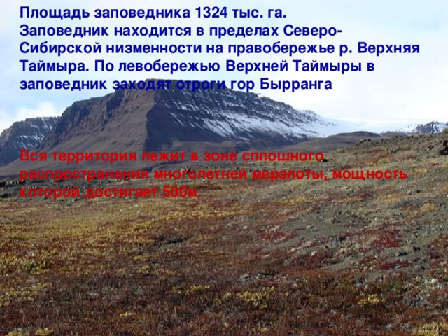 Площадь заповедника 1324 тыс. га. Заповедник находится в пределах Северо-Сибирской низменности на правобережье р. Верхняя Таймыра. По левобережью Верхней Таймыры в заповедник заходят отроги гор Бырранга    Вся территория лежит в зоне сплошного распространения многолетней мерзлоты, мощность которой достигает 500м. 