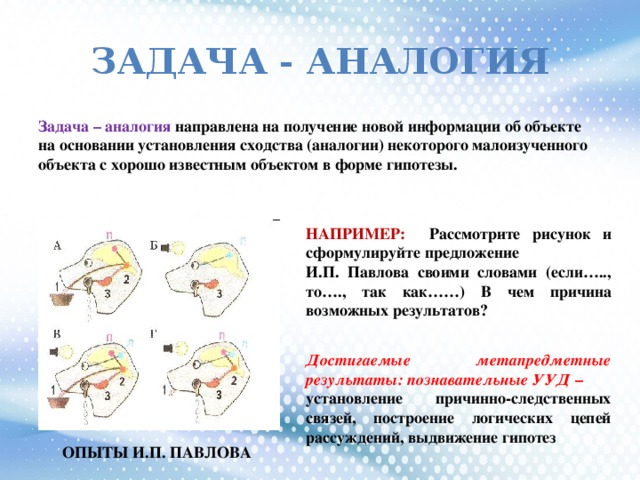 ЗАДАЧА - АНАЛОГИЯ Задача – аналогия направлена на получение новой информации об объекте на основании установления сходства (аналогии) некоторого малоизученного объекта с хорошо известным объектом в форме гипотезы. НАПРИМЕР:  Рассмотрите рисунок и сформулируйте предложение И.П. Павлова своими словами (если….., то…., так как……) В чем причина возможных результатов? Достигаемые метапредметные результаты: познавательные УУД – установление причинно-следственных связей, построение логических цепей рассуждений, выдвижение гипотез ОПЫТЫ И.П. ПАВЛОВА
