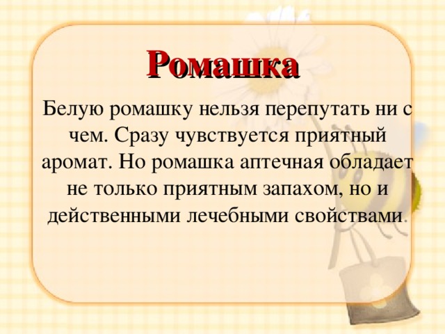 Ромашка Белую ромашку нельзя перепутать ни с чем. Сразу чувствуется приятный аромат. Но ромашка аптечная обладает не только приятным запахом, но и действенными лечебными свойствами . 