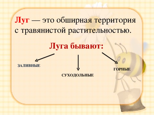 Луг — это обширная территория с травянистой растительностью.  Луга бывают: ЗАЛИВНЫЕ ГОРНЫЕ СУХОДОЛЬНЫЕ 