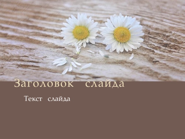 Заголовок слайда Текст слайда 