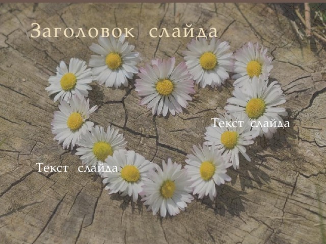 Заголовок слайда Текст слайда Текст слайда 