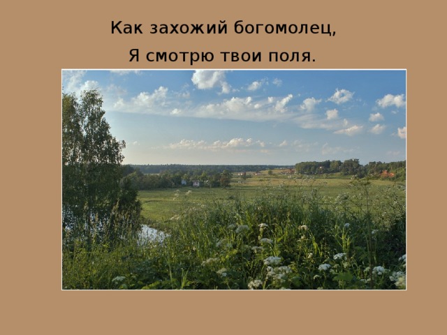 Как захожий богомолец,  Я смотрю твои поля.  