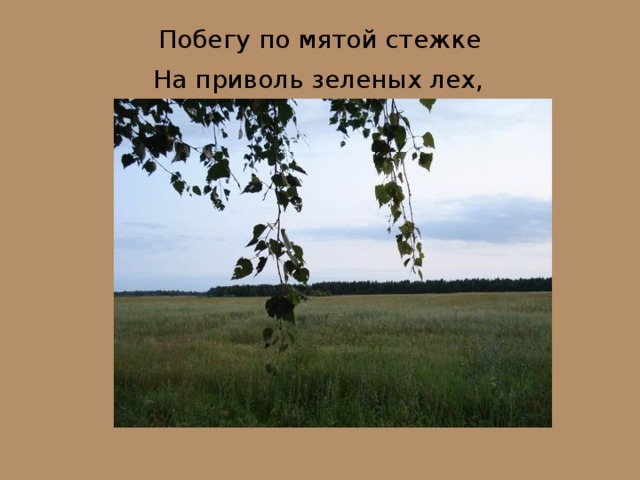 Побегу по мятой стежке  На приволь зеленых лех,  