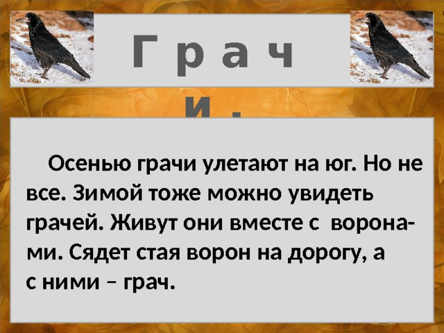 Г р а ч и .  Осенью грачи улетают на юг. Но не  все. Зимой тоже можно увидеть  грачей. Живут они вместе с ворона-  ми. Сядет стая ворон на дорогу, а  с ними – грач. 