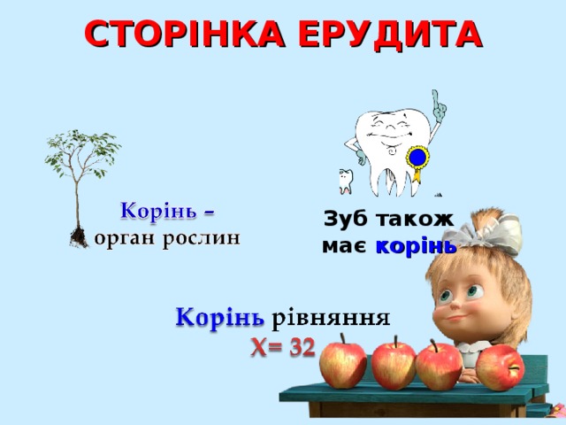 СТОРІНКА ЕРУДИТА   Зуб також має корінь 