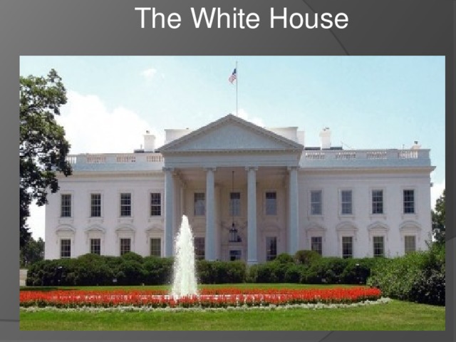 The White House 