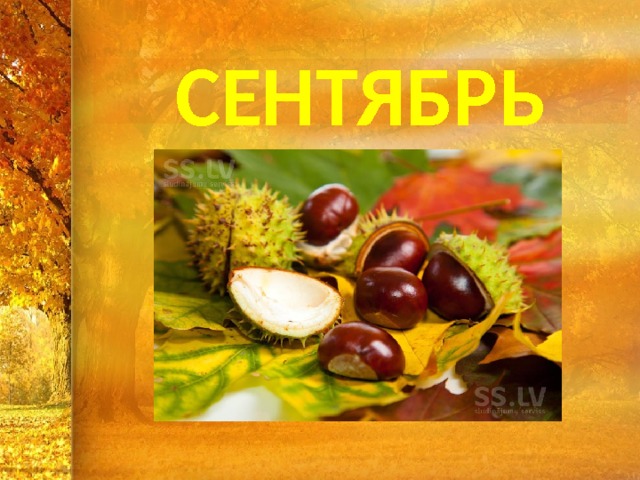 СЕНТЯБРЬ 