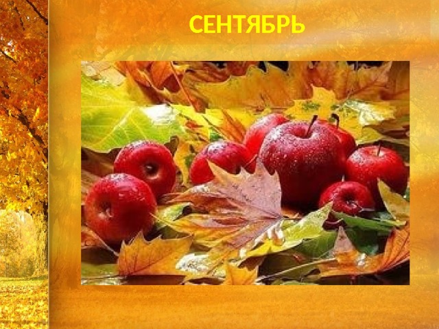 СЕНТЯБРЬ 