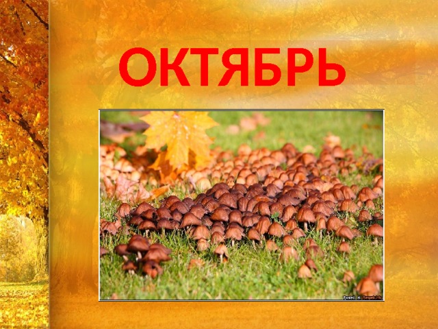 ОКТЯБРЬ 