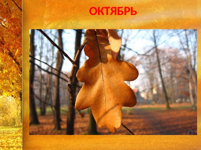 ОКТЯБРЬ 