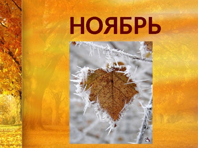 НОЯБРЬ 