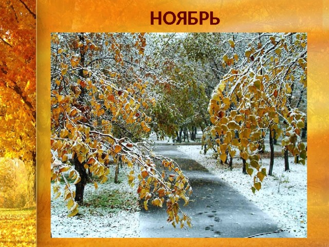 НОЯБРЬ 