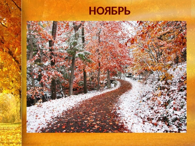 НОЯБРЬ 