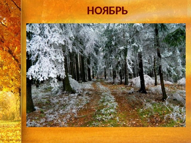 НОЯБРЬ 