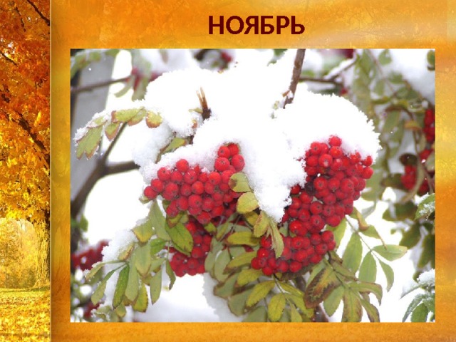 НОЯБРЬ 