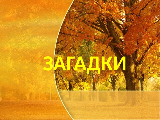 ЗАГАДКИ  
