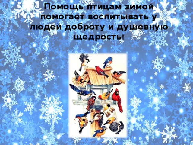  Помощь птицам зимой помогает воспитывать у людей доброту и душевную щедрость ! 