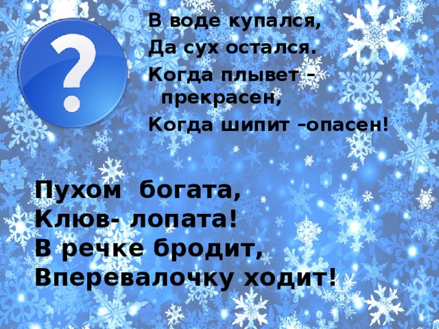 В воде купался, Да сух остался. Когда плывет – прекрасен, Когда шипит –опасен! Пухом богата, Клюв- лопата! В речке бродит, Вперевалочку ходит! 