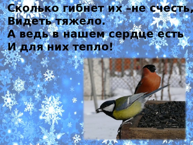 Сколько гибнет их –не счесть, Видеть тяжело. А ведь в нашем сердце есть И для них тепло!   