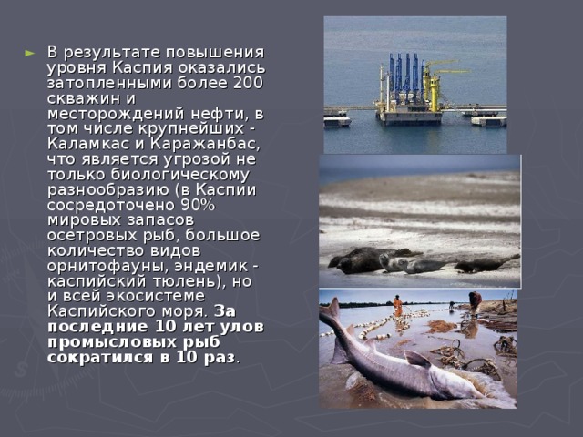 В результате повышения уровня Каспия оказались затопленными более 200 скважин и месторождений нефти, в том числе крупнейших - Каламкас и Каражанбас, что является угрозой не только биологическому разнообразию (в Каспии сосредоточено 90% мировых запасов осетровых рыб, большое количество видов орнитофауны, эндемик - каспийский тюлень), но и всей экосистеме Каспийского моря.  За последние 10 лет улов промысловых рыб сократился в 10 раз . 