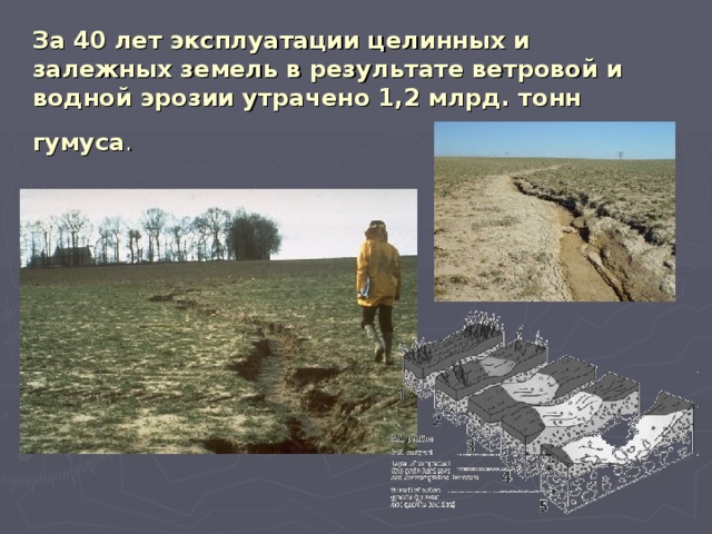 За 40 лет эксплуатации целинных и залежных земель в результате ветровой и водной эрозии утрачено 1,2 млрд. тонн гумуса .  