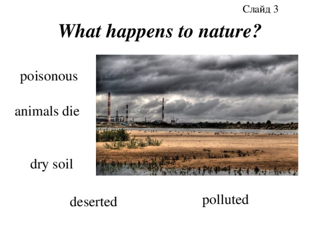 Слайд 3 What happens to nature? poisonous animals die dry soil polluted deserted 