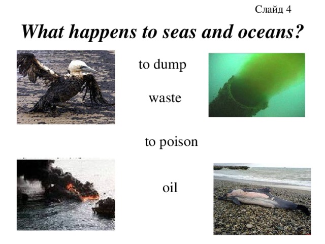 Слайд 4 What happens to seas and oceans? to dump waste to poison oil 