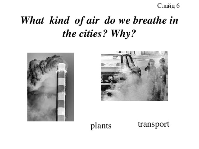 Слайд 6 plants What kind of air do we breathe in the cities? Why? transport 