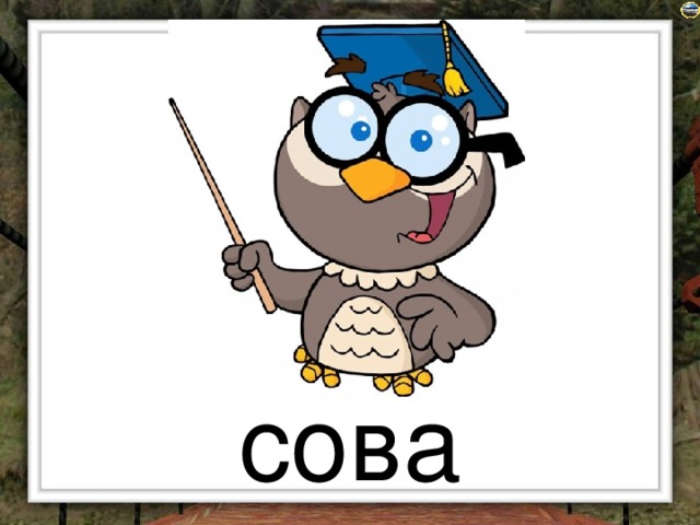 сова