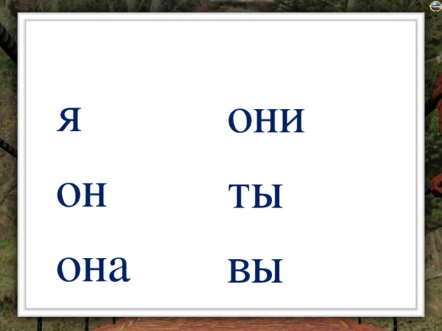 я он она они ты вы
