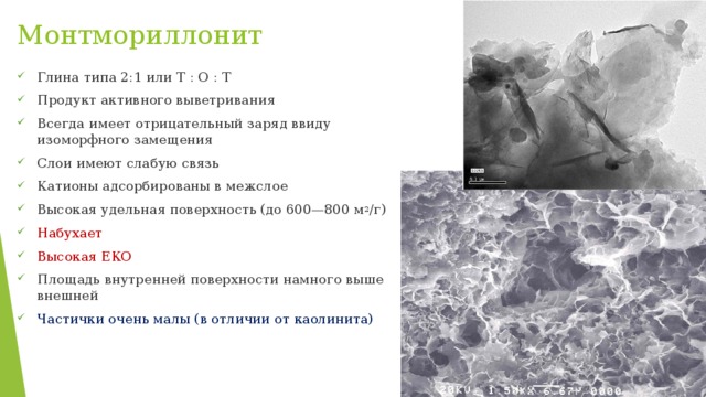 Монтмориллонит Глина типа 2:1 или Т : О : Т Продукт активного выветривания Всегда имеет отрицательный заряд ввиду изоморфного замещения Слои имеют слабую связь Катионы адсорбированы в межслое Высокая удельная поверхность (до 600—800 м 2 /г) Набухает Высокая ЕКО Площадь внутренней поверхности намного выше внешней Частички очень малы (в отличии от каолинита) 