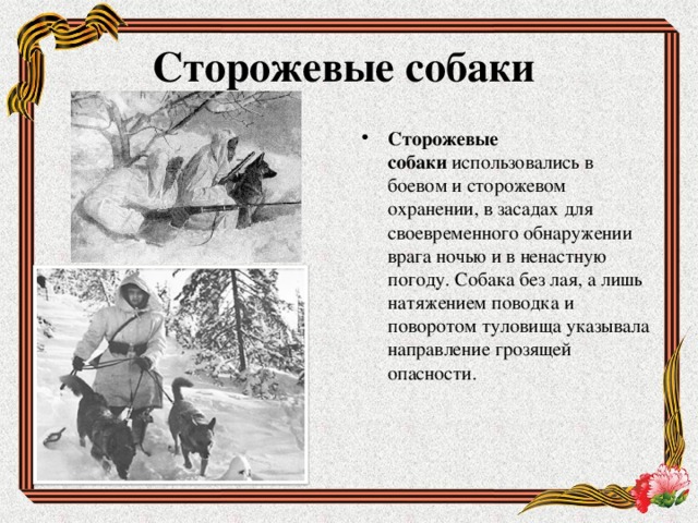 Сторожевые собаки Сторожевые собаки  использовались в боевом и сторожевом охранении, в засадах для своевременного обнаружении врага ночью и в ненастную погоду. Собака без лая, а лишь натяжением поводка и поворотом туловища указывала направление грозящей опасности.    