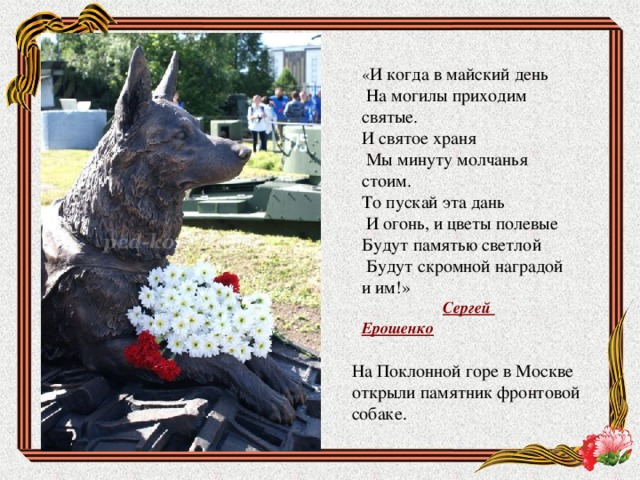 « И когда в майский день    На могилы приходим святые.  И святое храня    Мы минуту молчанья стоим.  То пускай эта дань   И огонь, и цветы полевые  Будут памятью светлой   Будут скромной наградой и им!»    Сергей Ерошенко   На Поклонной горе в Москве открыли памятник фронтовой собаке.  