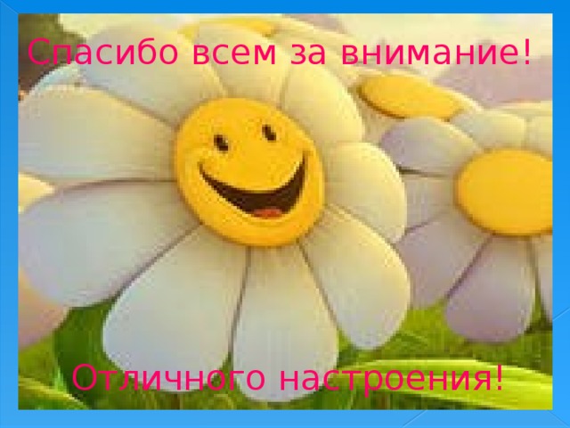 Спасибо всем за внимание! Отличного настроения! 