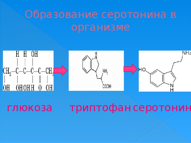 Образование серотонина в организме глюкоза триптофан серотонин 