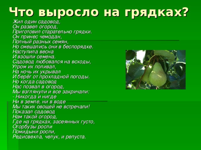 Что выросло на грядках?  Жил один садовод,  Он развел огород,  Приготовил старательно грядки.  Он принес чемодан,  Полный разных семян,  Но смешались они в беспорядке.  Наступила весна  И взошли семена.  Садовод любовался на всходы,  Утром их поливал,  На ночь их укрывал  И берёг от прохладной погоды.  Но когда садовод  Нас позвал в огород,  Мы взглянули и все закричали:  - Никогда и нигде  Ни в земле, ни в воде  Мы таких овощей не встречали!  Показал садовод  Нам такой огород,  Где на грядках, засеянных густо,  Огорбузы росли  Помидыни росли,  Редисвекла, челук, и репуста. 