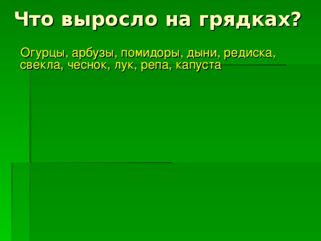 Что выросло на грядках?  Огурцы, арбузы, помидоры, дыни, редиска, свекла, чеснок, лук, репа, капуста 