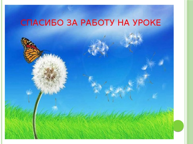 СПАСИБО ЗА РАБОТУ НА УРОКЕ 