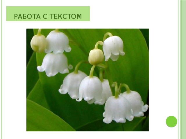 Работа с текстом 