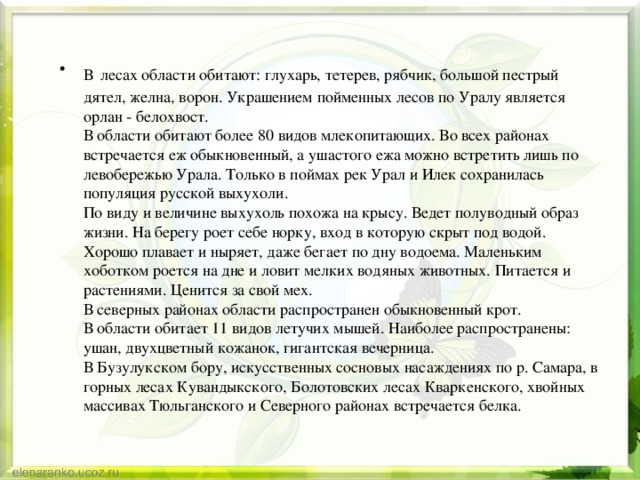 В  лесах области обитают: глухарь, тетерев, рябчик, большой пестрый дятел, желна, ворон. Украшением пойменных лесов по Уралу является орлан - белохвост.  В области обитают более 80 видов млекопитающих. Во всех районах встречается еж обыкновенный, а ушастого ежа можно встретить лишь по левобережью Урала. Только в поймах рек Урал и Илек сохранилась популяция русской выхухоли.  По виду и величине выхухоль похожа на крысу. Ведет полуводный образ жизни. На берегу роет себе норку, вход в которую скрыт под водой. Хорошо плавает и ныряет, даже бегает по дну водоема. Маленьким хоботком роется на дне и ловит мелких водяных животных. Питается и растениями. Ценится за свой мех.  В северных районах области распространен обыкновенный крот.  В области обитает 11 видов летучих мышей. Наиболее распространены: ушан, двухцветный кожанок, гигантская вечерница.   В Бузулукском бору, искусственных сосновых насаждениях по р. Самара, в горных лесах Кувандыкского, Болотовских лесах Кваркенского, хвойных массивах Тюльганского и Северного районах встречается белка. 