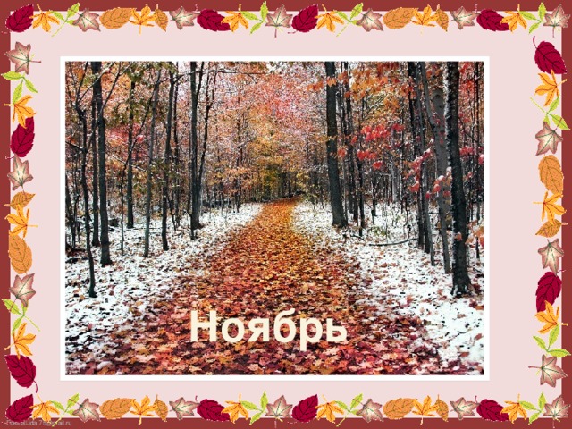 Ноябрь