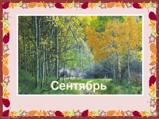 Сентябрь