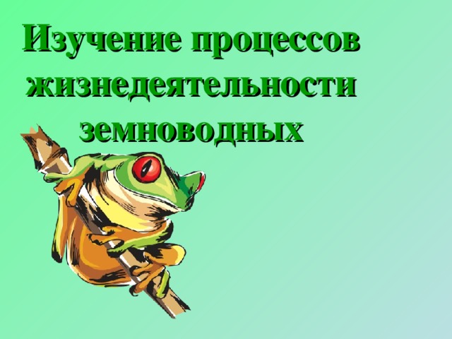 Изучение процессов жизнедеятельности земноводных 