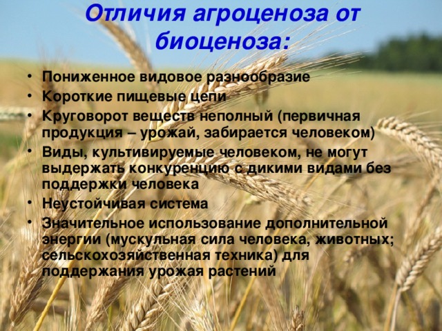 Загрязнение агроэкосистем презентация