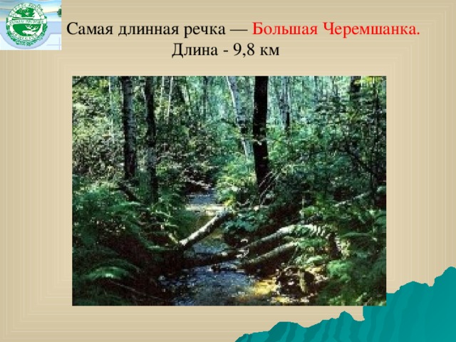 Самая длинная речка — Большая Черемшанка.   Длина - 9,8 км