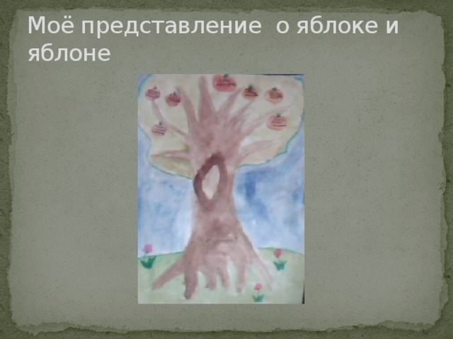 Моё представление о яблоке и яблоне 