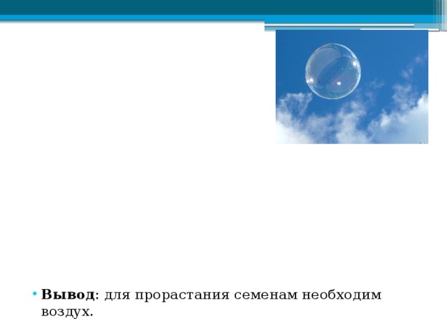 Вывод : для прорастания семенам необходим воздух.