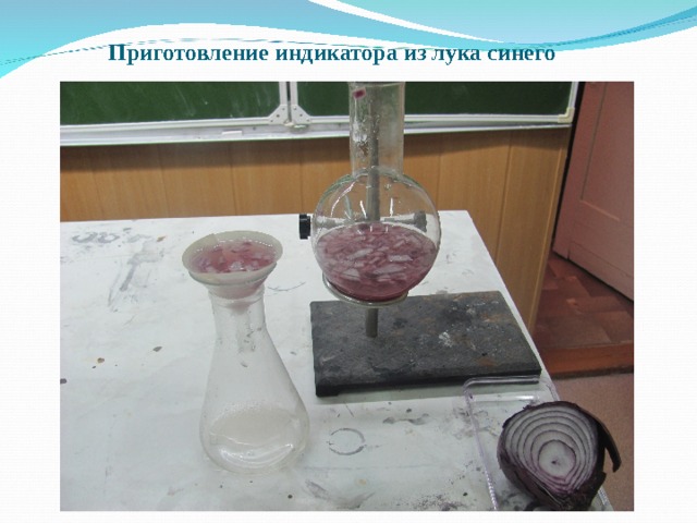 Приготовление индикатора из лука синего      